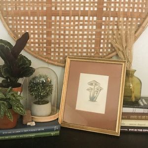 Ruane Manning Framed Mushroom Art